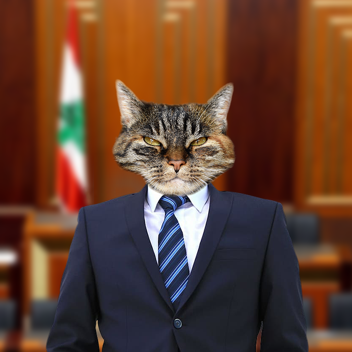 There Are No Good Political Leaders in Lebanon... Step Up!