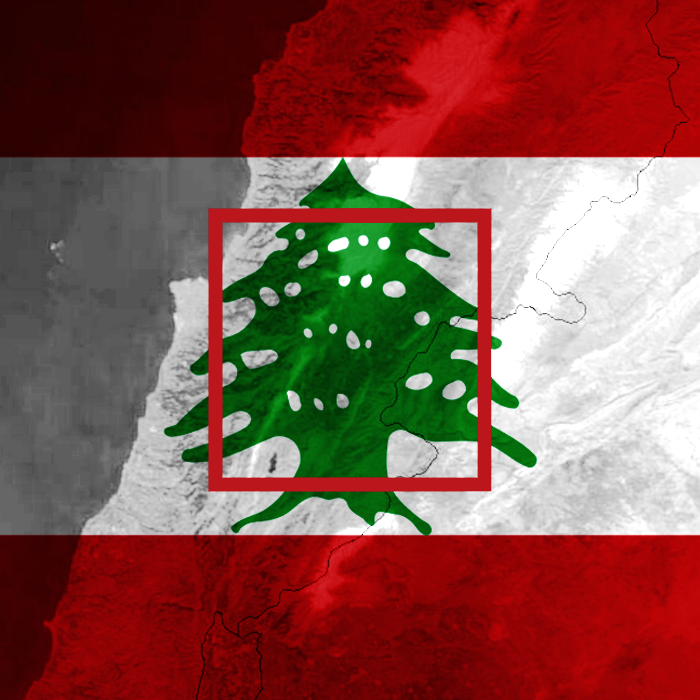 Fix Lebanon: The 20-Year Plan